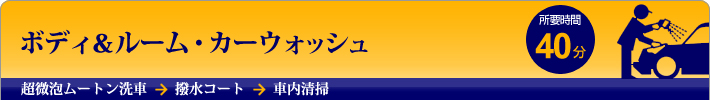 ボディ＆ルーム・カーウォッシュプラン