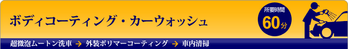 ボディコーティング・カーウォッシュプラン