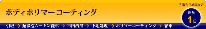 ボディポリマーコーティングプラン